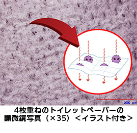 糞口感染の流れ