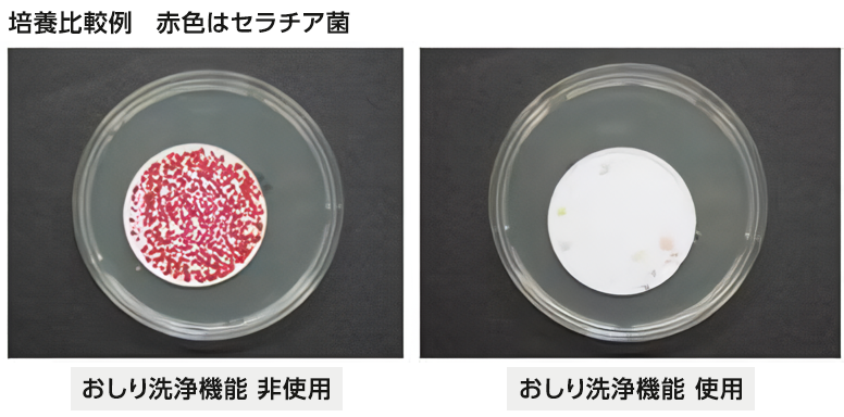 セラチア菌　培養比較例